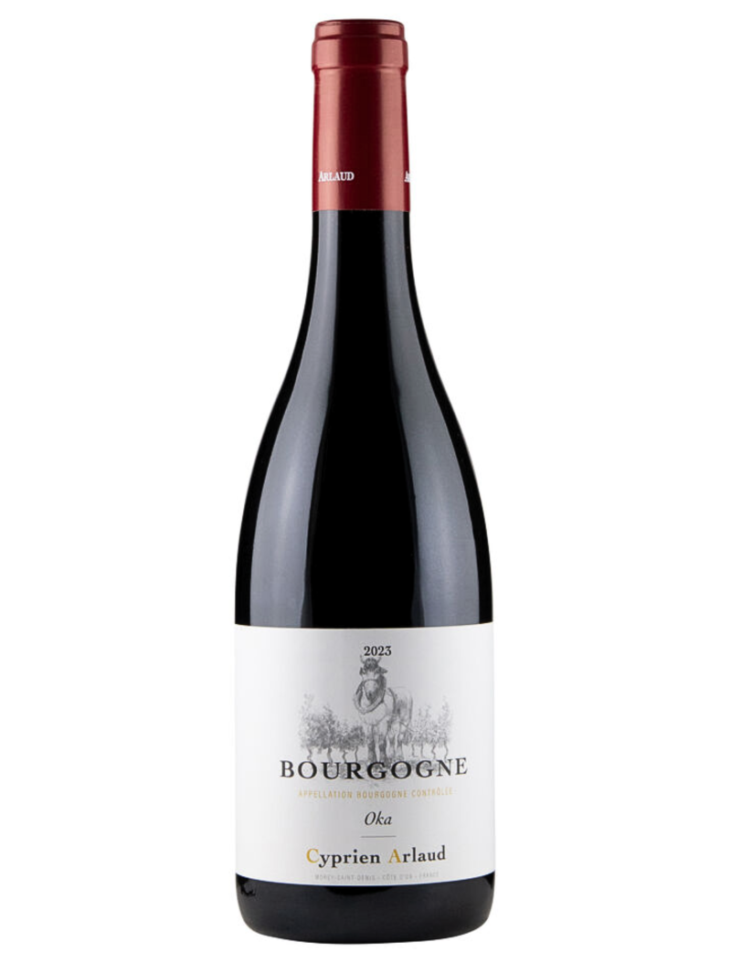 Cyprien Arlaud - Bourgogne OKA 2023