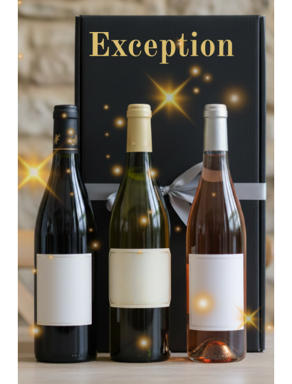 Exceptional Surprise Gift Set – 3 Bottles