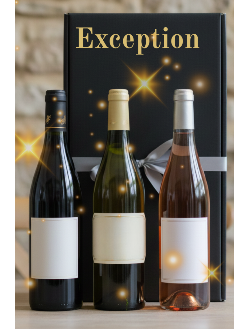 Exceptional Surprise Gift Set – 3 Bottles