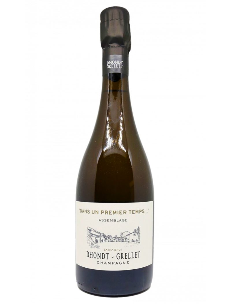 Dhondt Grellet - Dans un Premier Temps