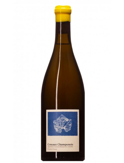 Etienne Calsac - Coteaux Champenois Blanc Photogramme 2022