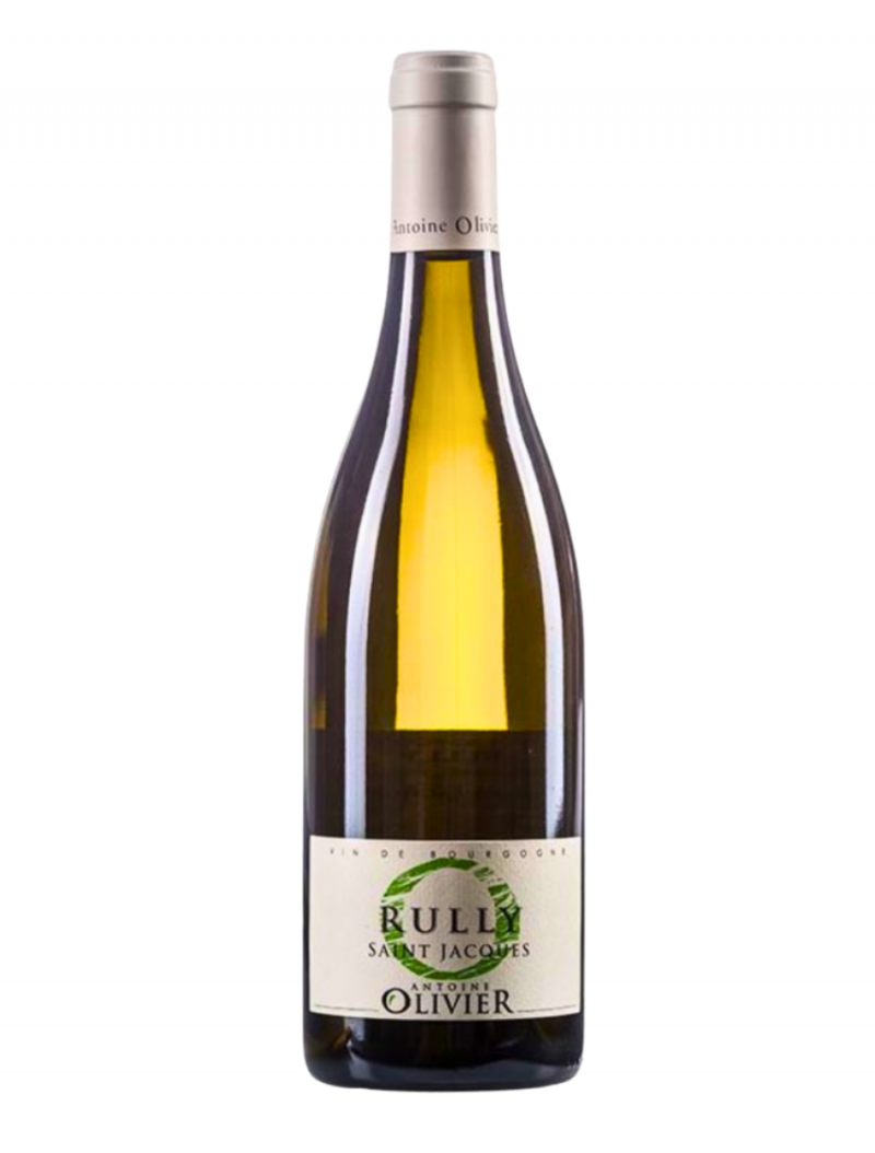 Antoine Olivier - Rully Saint Jacques 2019