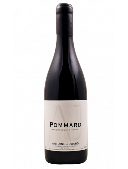 Antoine Jobard - Pommard 2023
