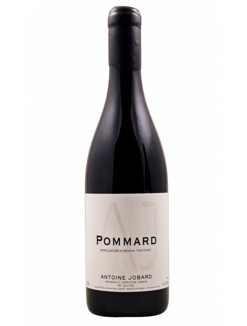 Antoine Jobard - Pommard 2023