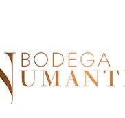 Bodegas Numanthia
